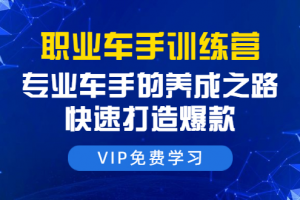 职业车手训练营：专业车手的养成之路，快速打造爆款（8节-无水印直播课）