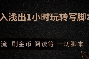 引流脚本实战课：1小时深入浅出视频实操讲解，教你0基础学会写引流脚本