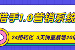 猎手1.0营销系统，从0到1，营销实战课，24路转化秘诀3天销量暴增20倍