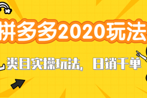 拼多多2020最新类目实操玩法，直通车定向玩法做爆款，轻松操作到日销千单