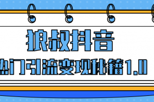 狼叔抖音热门引流变现秘籍1.0，人人都可以捞金的项目，让你的视频曝光10W+