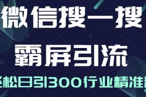 微信搜一搜霸屏引流课，打造被动精准引流系统，轻松日引300行业精准粉