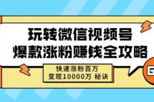 玩转微信视频号爆款涨粉赚钱全攻略，快速涨粉百万变现万元秘诀