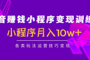 抖音赚钱小程序变现训练营：小程序月入10w+各类玩法运营技巧变现