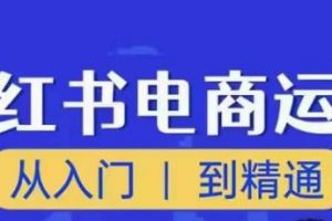 顽石小红书电商高阶运营课程，从入门到精通，玩法流程持续更新