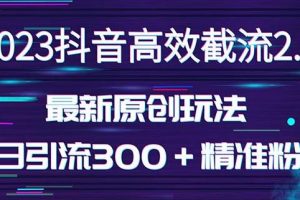 日引300＋创业粉，独家抖音高效截流2.0玩法（价值1280）