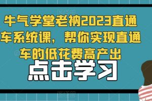 牛气学堂老衲2023直通车系统课，帮你实现直通车的低花费高产出