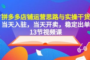 拼多多店铺运营思路与实操干货，当天入驻，当天开卖，稳定出单（13节课）