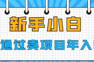 新手小白如何通过卖项目年入50W【揭秘】