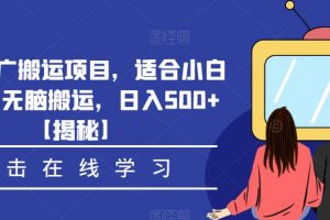 影视推广搬运项目，适合小白操作，无脑搬运，日入500+【揭秘】