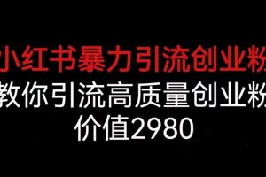 小红书暴力引流创业粉，教你引流高质量创业粉，价值2980【揭秘】