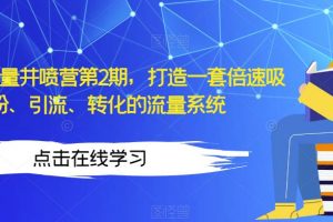 知识IP流量井喷营第2期，打造一套倍速吸粉、引流、转化的流量系统