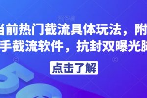 解析当前热门截流具体玩法，附赠全新快手截流软件，抗封双曝光脚本【揭秘】