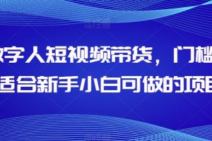 AI数字人短视频带货，门槛低，适合新手小白可做的项目