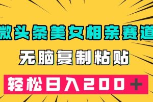 微头条冷门美女相亲赛道，无脑复制粘贴，轻松日入200＋【揭秘】