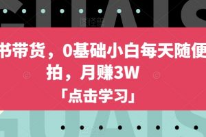 小红书带货，0基础小白每天随便拍拍，月赚3W【揭秘】