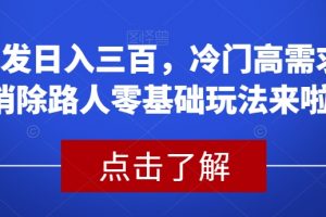 首发日入三百，冷门高需求消除路人零基础玩法来啦【揭秘】