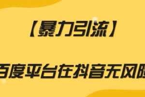 【暴力引流】利用百度平台在抖音无风险引流【揭秘】