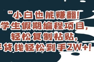 小白也能赚翻！学生假期编程项目，轻松复制粘贴，年货钱轻松到手2W+【揭秘】