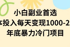 小白副业首选，0成本投入，每天变现1000-2000年底暴力冷门项目【揭秘】