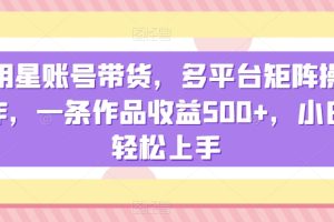 明星账号带货，多平台矩阵操作，一条作品收益500+，小白轻松上手【揭秘】