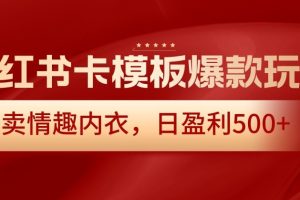 小红书卡模板爆款玩法，售卖情趣内衣，日盈利500+【揭秘】