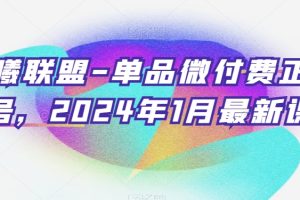 臻曦联盟-单品微付费正价起号，2024年1月最新课程