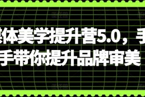 自媒体美学提升营5.0，手把手带你提升品牌审美