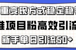 精准项目粉高效引流术，新手单日引流50+，多重变现方式稳定赚钱【揭秘】