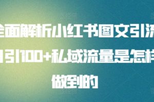 小红书电商精细化运营全流程，从0-1实操运营，让你从小白到精英