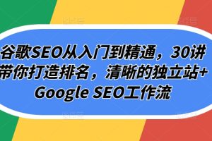 小红书电商项目教程，0-1入门全盘玩法解析