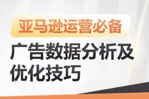 亚马逊广告数据分析及优化技巧，高效提升广告效果，降低ACOS，促进销量持续上升