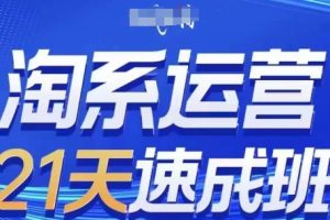 淘系运营21天速成班(更新24年5月)，0基础轻松搞定淘系运营，不做假把式