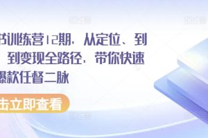 小红书训练营12期，从定位、到起号、到变现全路径，带你快速打通爆款任督二脉