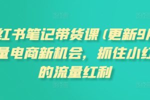 小红书笔记带货课(更新9月)流量电商新机会，抓住小红书的流量红利