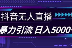 抖音快手视频号全平台通用无人直播引流法，利用图片模板和语音话术，暴力日引流100+创业粉【揭秘】