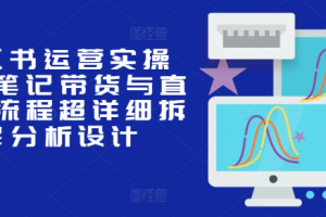 小红书运营实操课，笔记带货与直播，流程超详细拆解分析设计