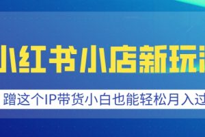 小红书小店新玩法，蹭这个IP带货，小白也能轻松月入过W【揭秘】