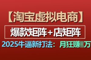 淘宝虚拟电商，2025牛逼新打法：爆款矩阵+店矩阵，月入过万